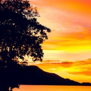 Meet your Posher, Pumpkin